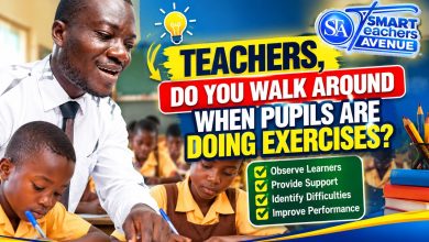 Classroom Monitoring and Support: A teacher moving around the classroom to observe pupils completing exercises and provide individual assistance.